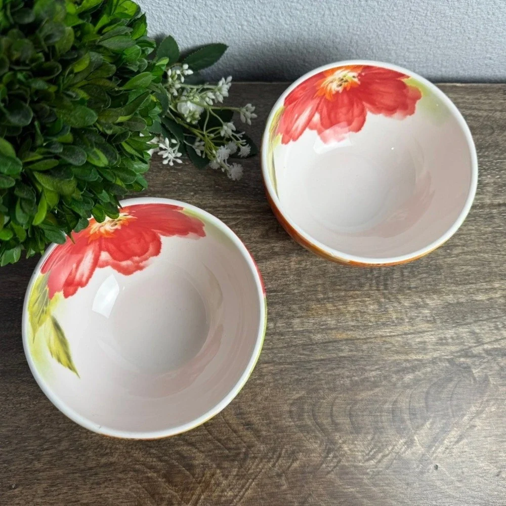 Pier 1 Amelia Floral Ironstone Bowls Set of 2 Colorful Cottage Kitchen 6